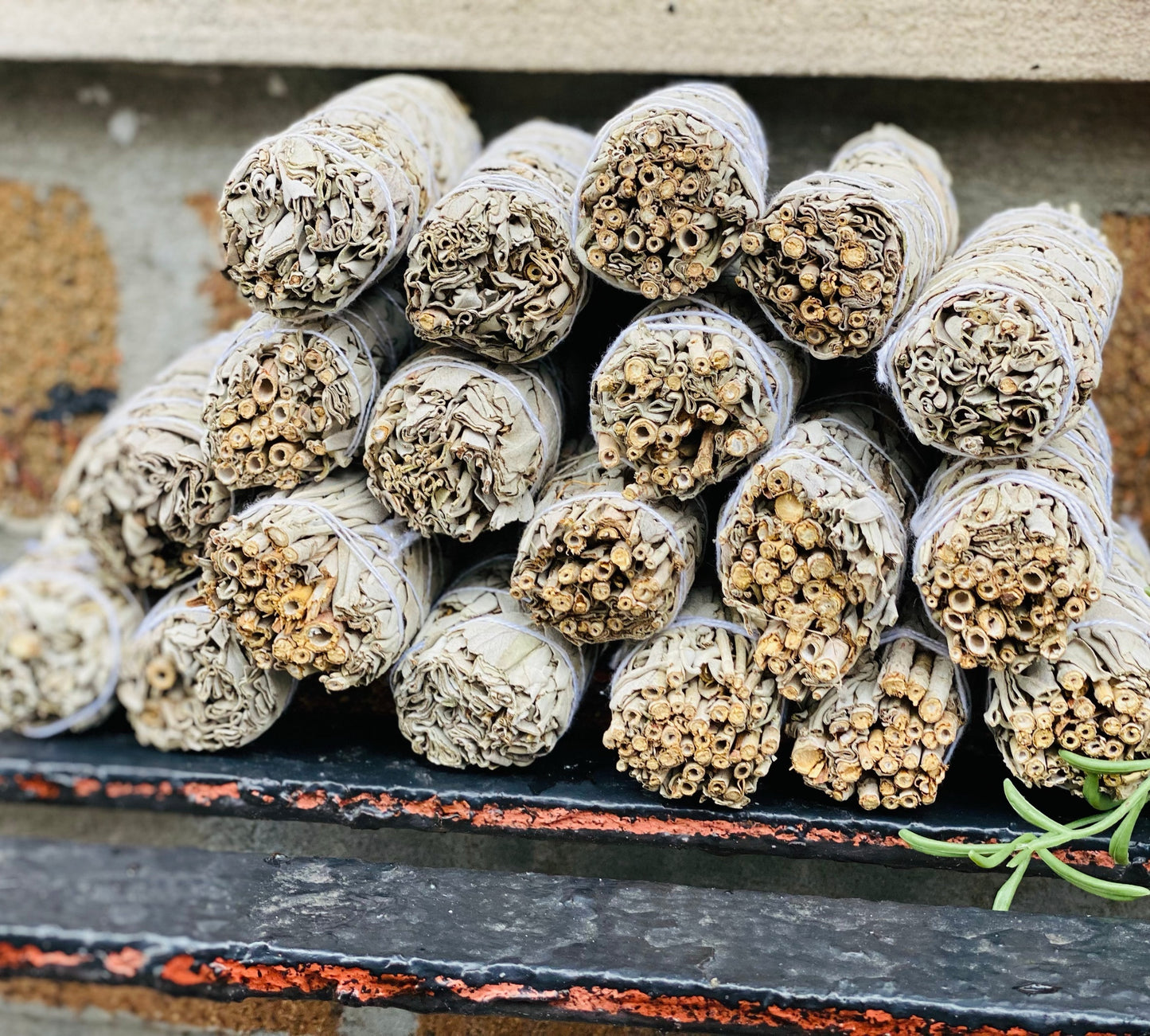 California White Sage Bundle